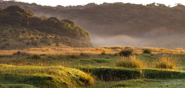 Middle Earth? No, just one of your typical scenes at Horton Plains. Image credit: appletreesholidays.com
