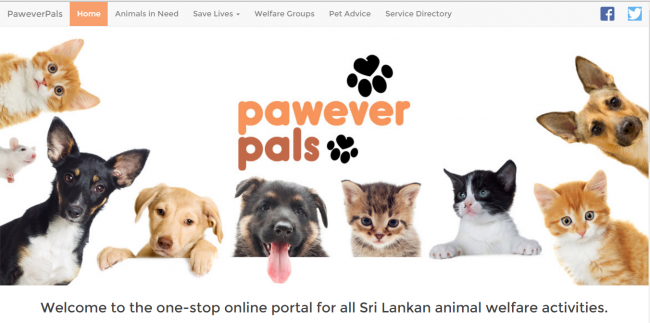 Pawever Pals provides both the public and animal welfare organisations with an easy, hassle-free means of connecting with each other. This connectivity can be a valuable means for smaller welfare organisations to stay afloat. Image courtesy: paweverpals.com