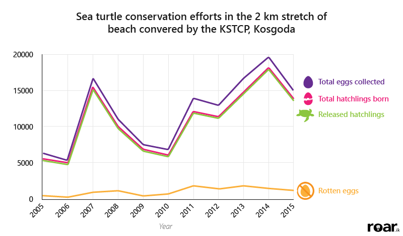 Sea turtle stats