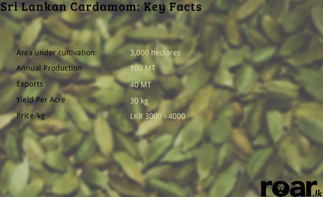 Cardamom. Image credit: Divehi Holdings