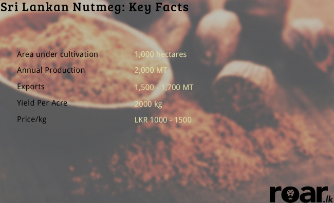 Nutmeg. Image credit: Earth Foods