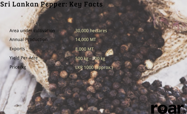 Pepper. Image credit: Adsark.com