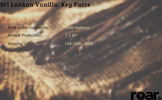 Vanilla. Image credit: Serious Eats