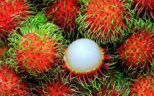 Yes,our mothers warned us against over-indulging, but as it turns out, rambutan can actually be good for you! Image courtesy: listovative.com