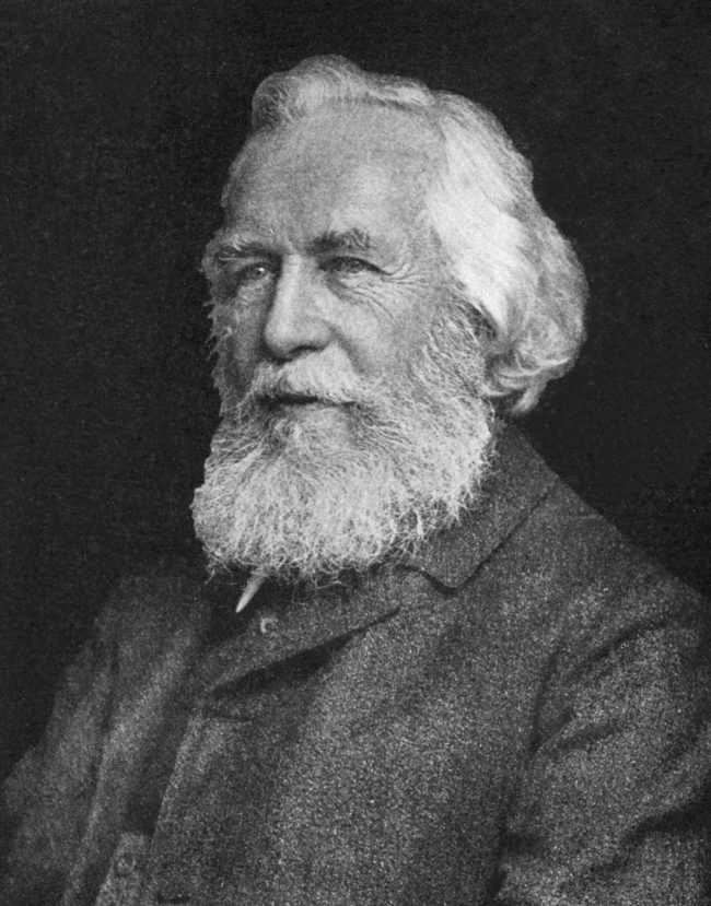 Ernst Haeckel, naturalist, biologist, physician, and painter, visited Ceylon in 1881. Image courtesy wikipedia.org 