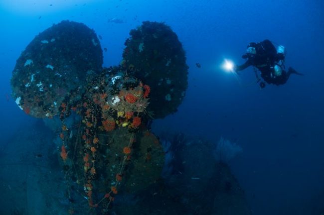Wreck of the HMS Hermes, which sank in 1942. Image credit: Pete Mesley/xray-mag.com