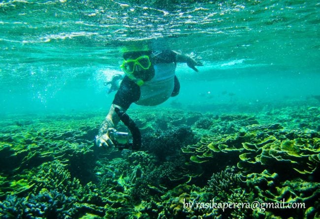 The coral reefs at Pigeon Island. Image credit Rasika Perera