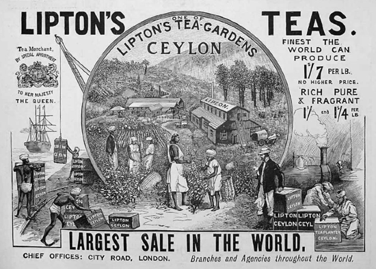 An 1896 advertisement for Lipton Teas, which made Ceylon Tea popular in the US and the UK 