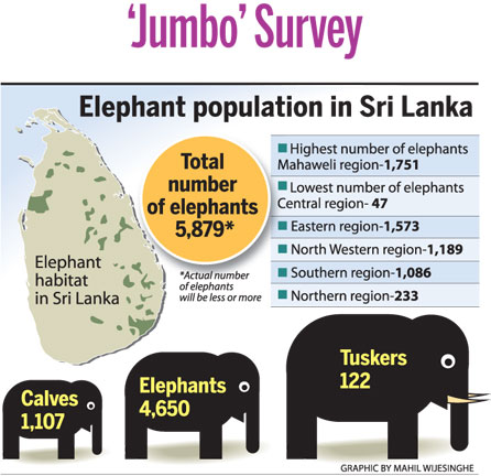 jumbo survey srilanka