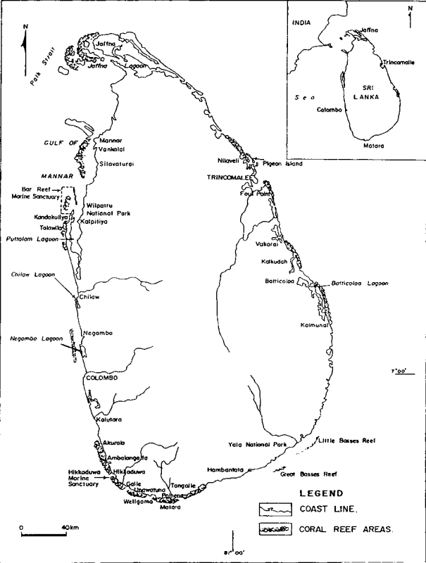 Important recorded coral reef areas in Sri Lanka. Source: NARA; Rajasuriya and White 1995, www.fao.org