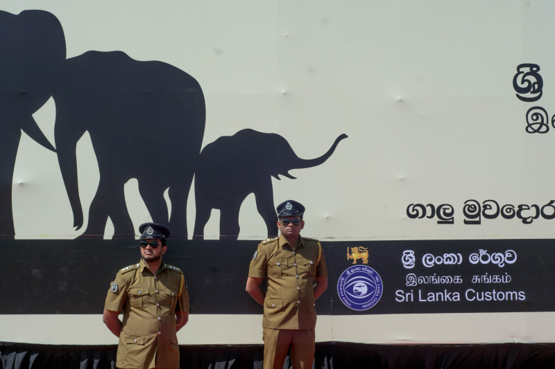 Policemen stand by guarding the tusks which were on display at Galle Face shortly before being destroyed.