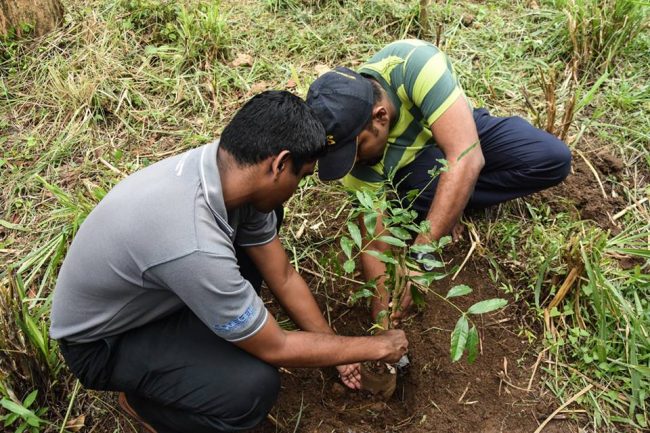 Planting a tree; two members of Reforest Sri Lanka hard at work during a project at the Samanala tank catchment area.