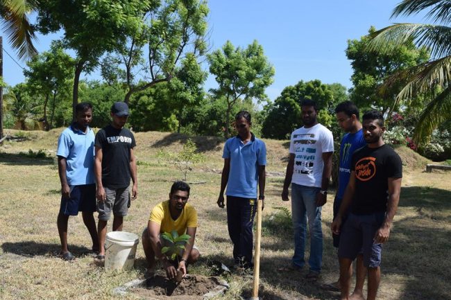 Tree planting with Sri Lanka Navy in the North-East.