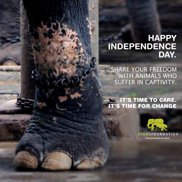 The Otara Foundation Independence Day Campaign aimed to increase awareness of the plight of animals suffering in captivity/ Image credits: Otara Foundation