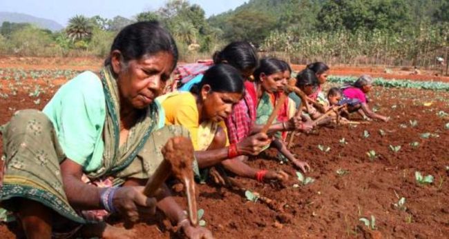 Women working on a farm in India. Image credit: India Spend