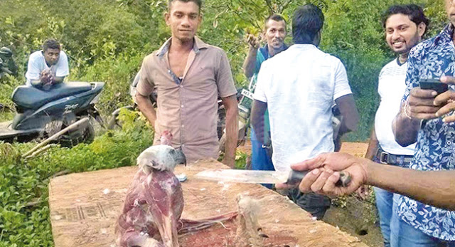 These men skinned, tortured, and killed an endangered eagle. Image courtesy gossiplankanews.com