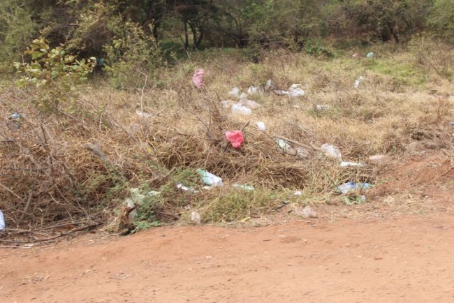 Garbage and polythene bags strewn around pathways inside the national park. Image courtesy EFL