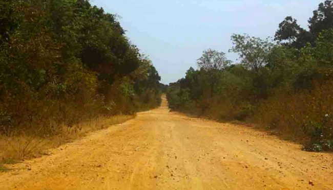 The illegal cut and constructed road through the national park. Image courtesy EFL