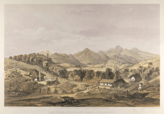 Peacock Hill coffee estate, Pussellawa. Image courtesy British Library 