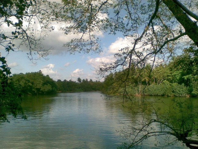 Although parts of the Kelani River present a beautiful, tranquil picture, the truth is that this is the most polluted river in the country. Image courtesy placerating.com
